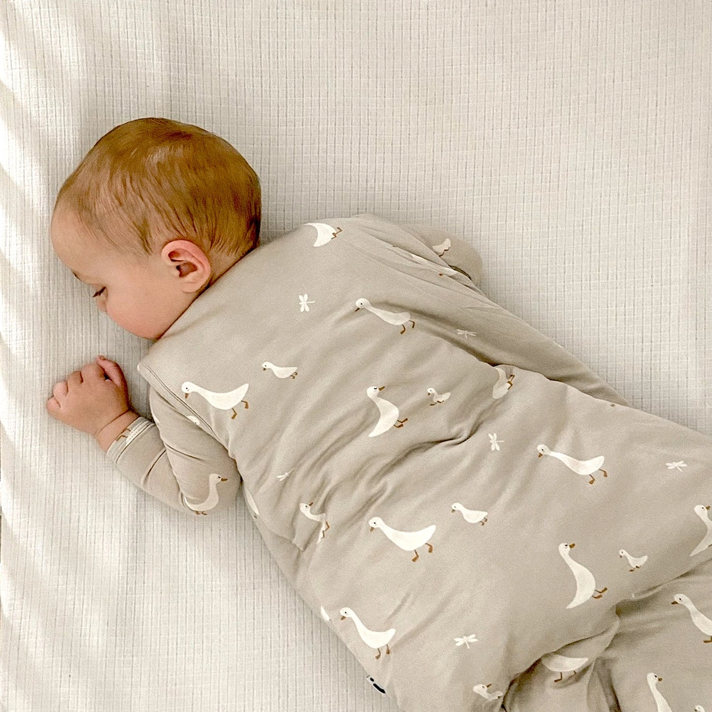 Goose 2.5 Sleep Bag