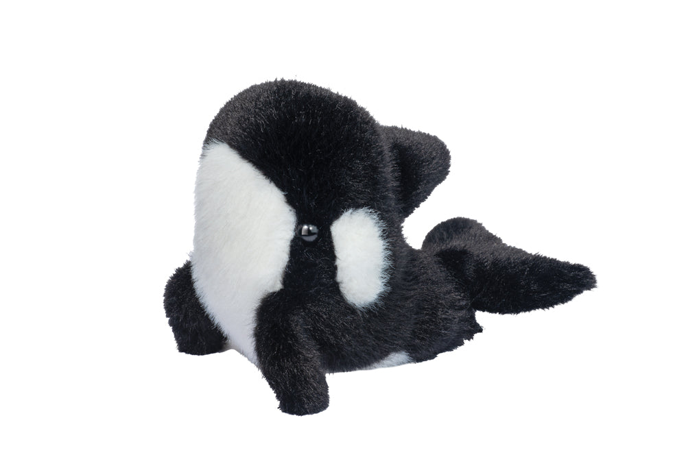 Lil Baby Orca Whale