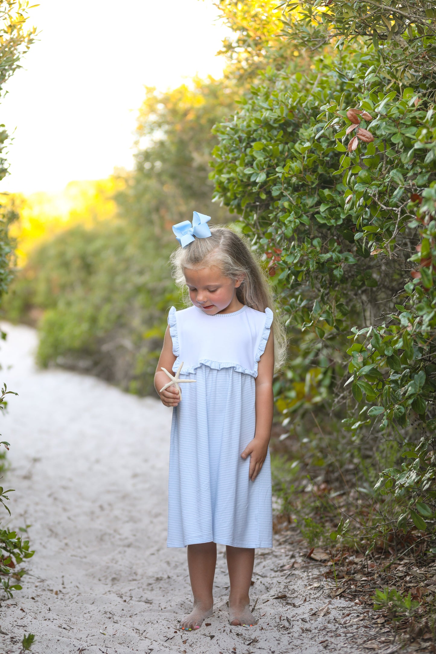 Alice Blue Stripe Dress