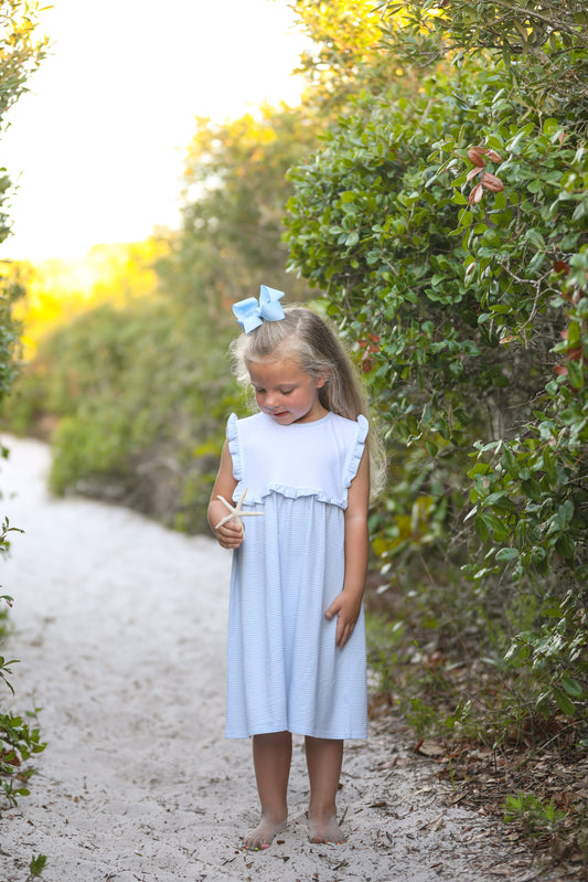 Alice Blue Stripe Dress