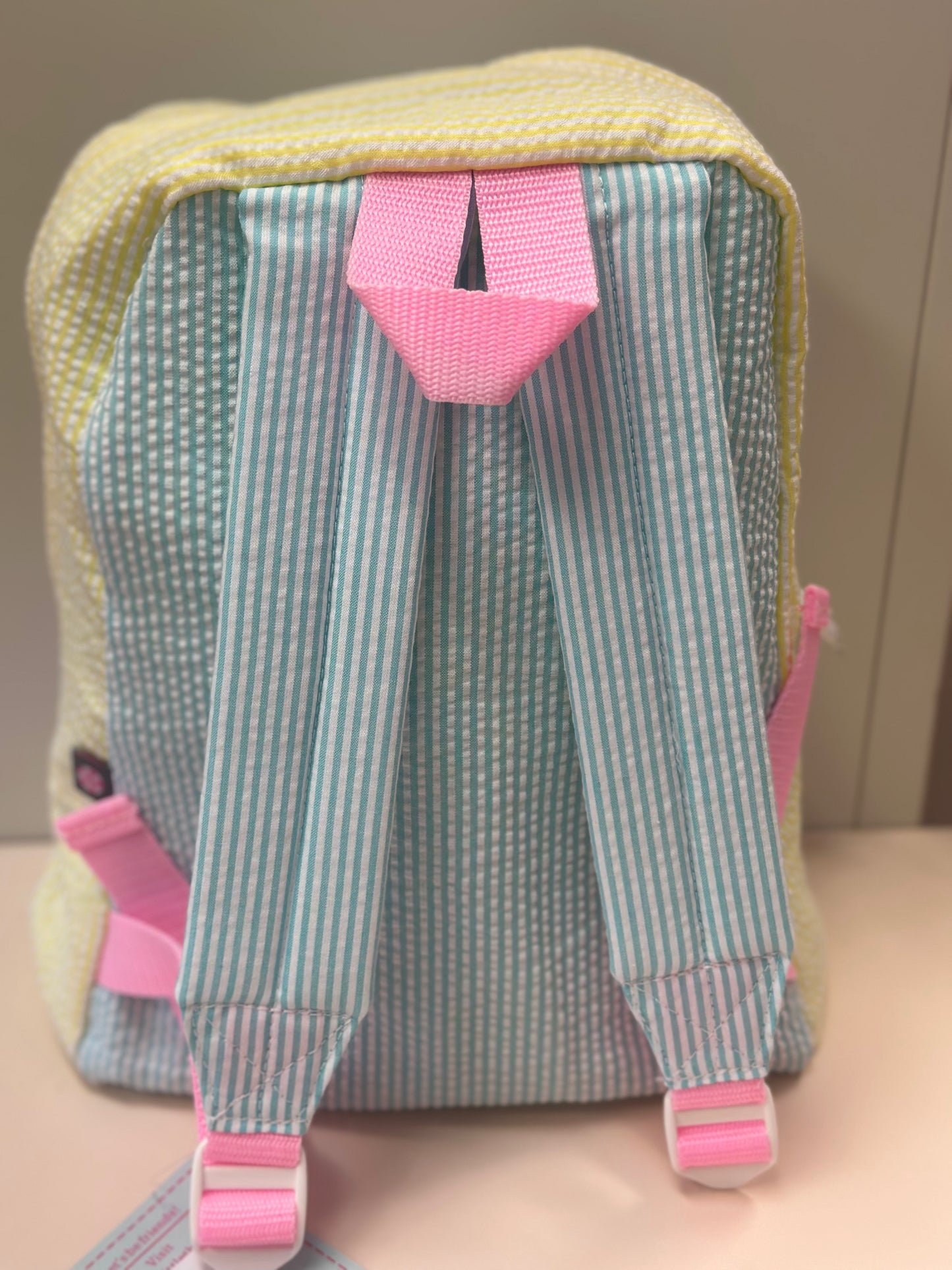 1989 Seersucker Small Backpack