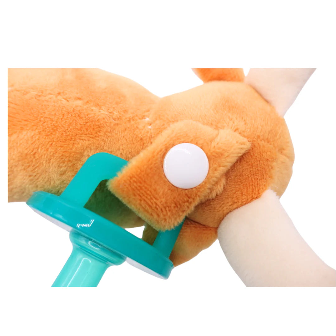 Longhorn Paci