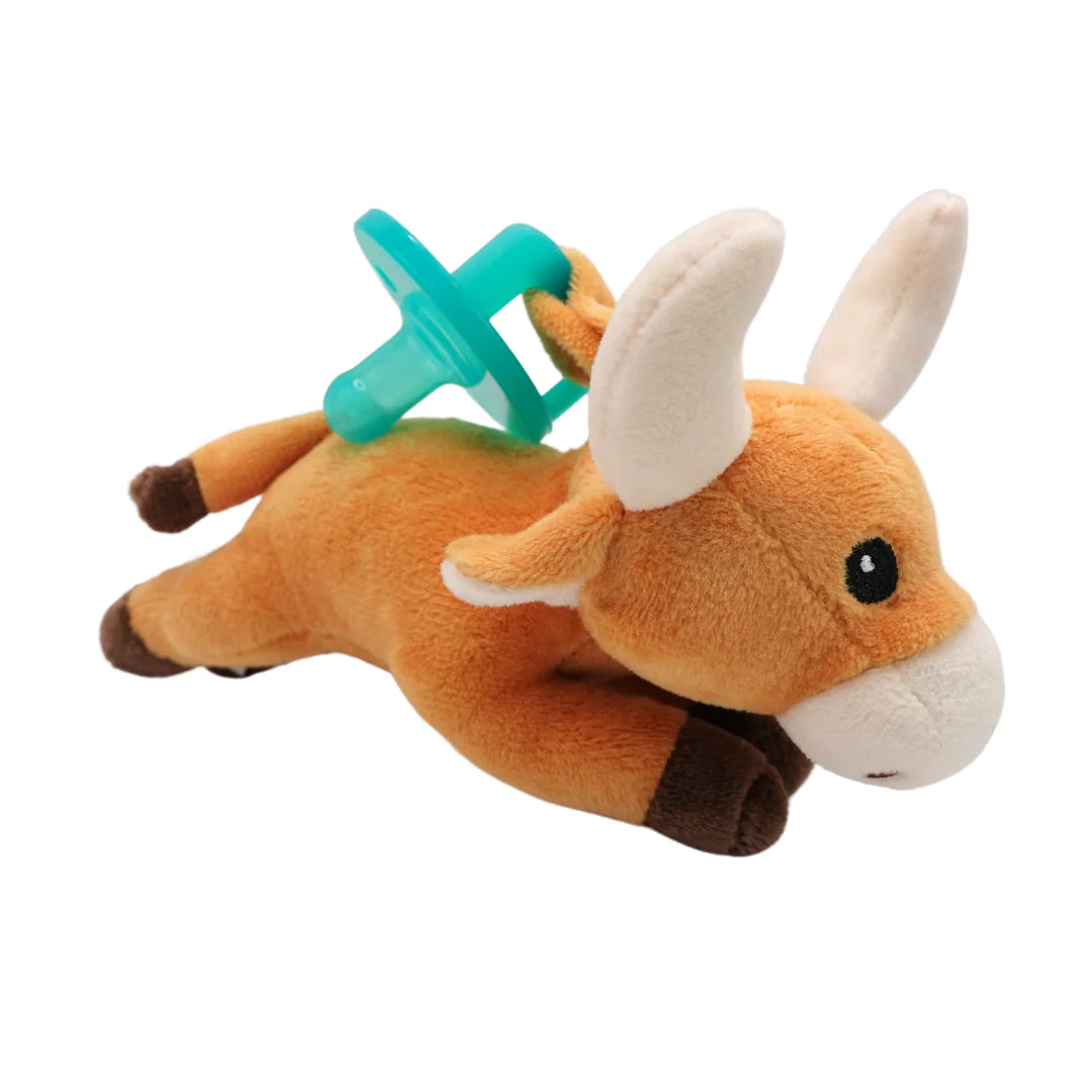 Longhorn Paci