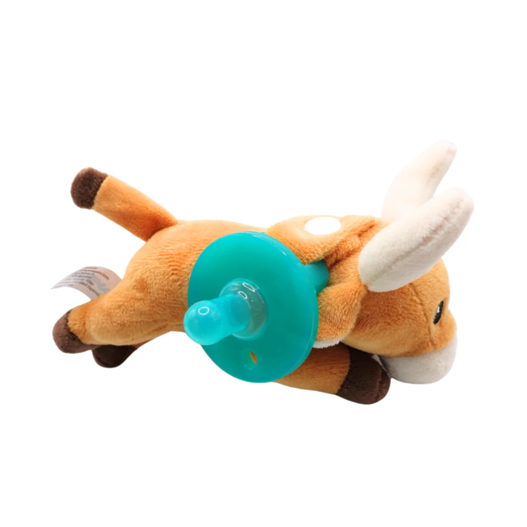 Longhorn Paci