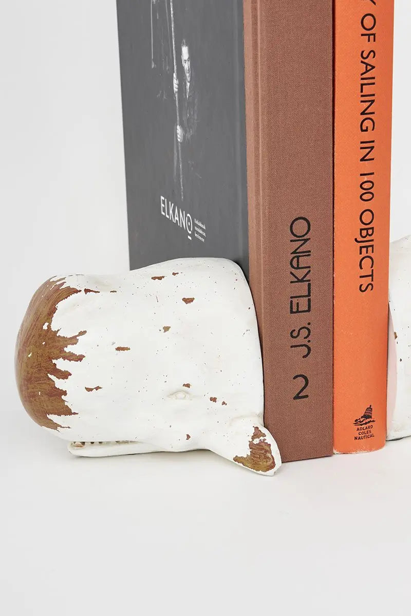 Sperm Whale Bookend