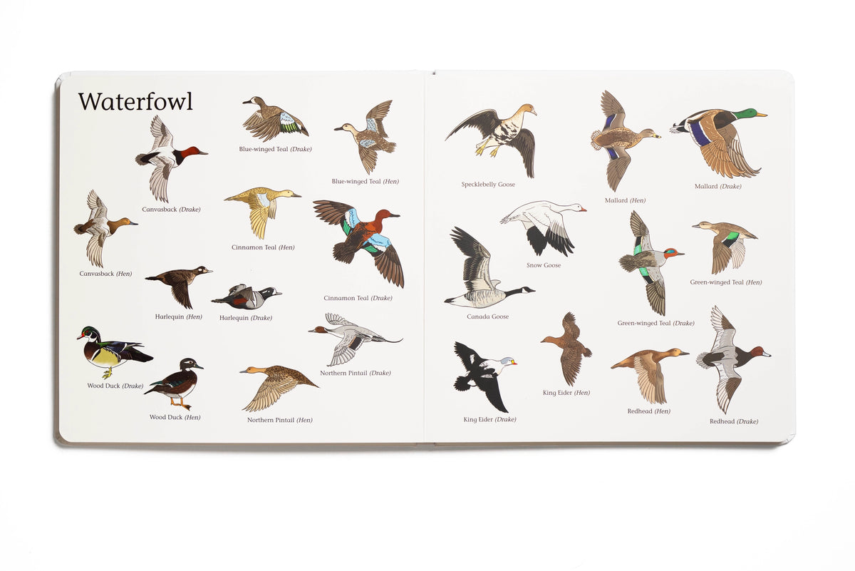 The Big Book Of Hunting