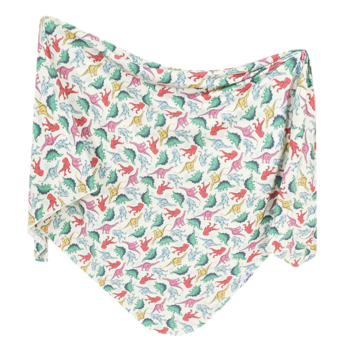 Dinosaurs of Jurassic Swaddle