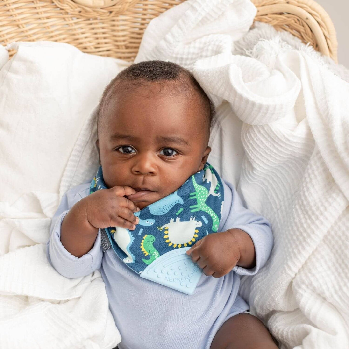 Baby Dino Neckerchew Dribble Bib