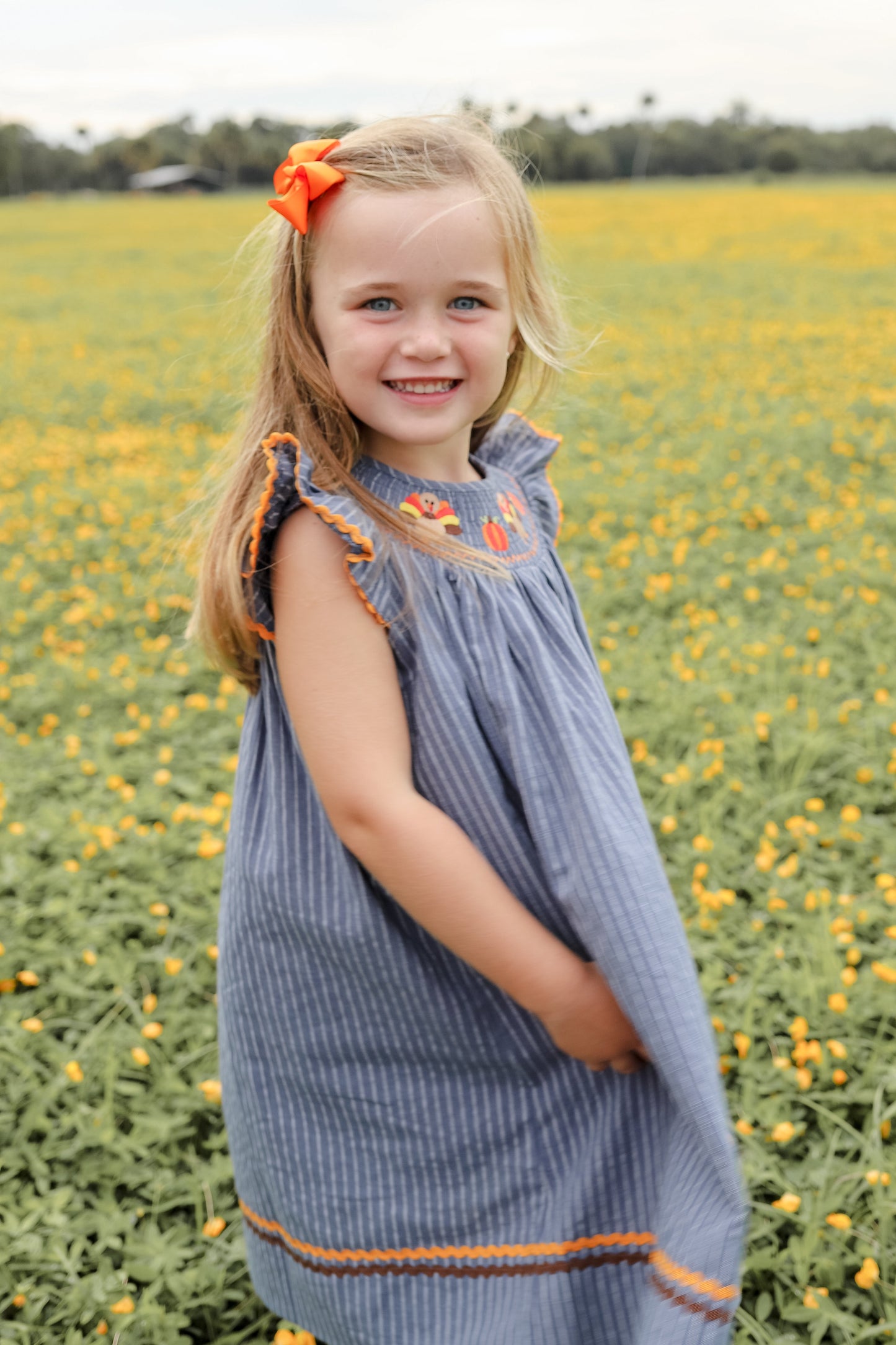 Gray Blue Turkey Pumpkins Smocked Dress