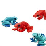 Poison Dart Frogs