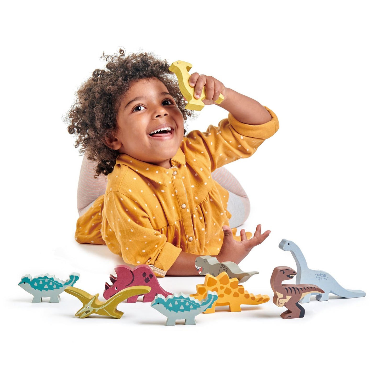 Dinosaur Collection Figures