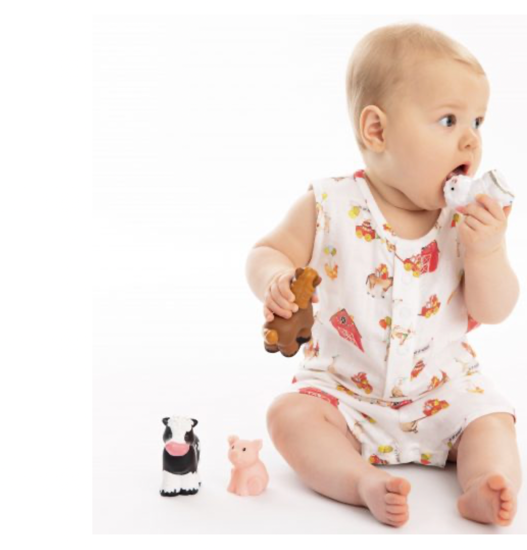 Farm Party Sunsuit