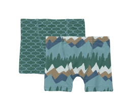 Ivy Lattice & Glacier Mountains Print Boxer