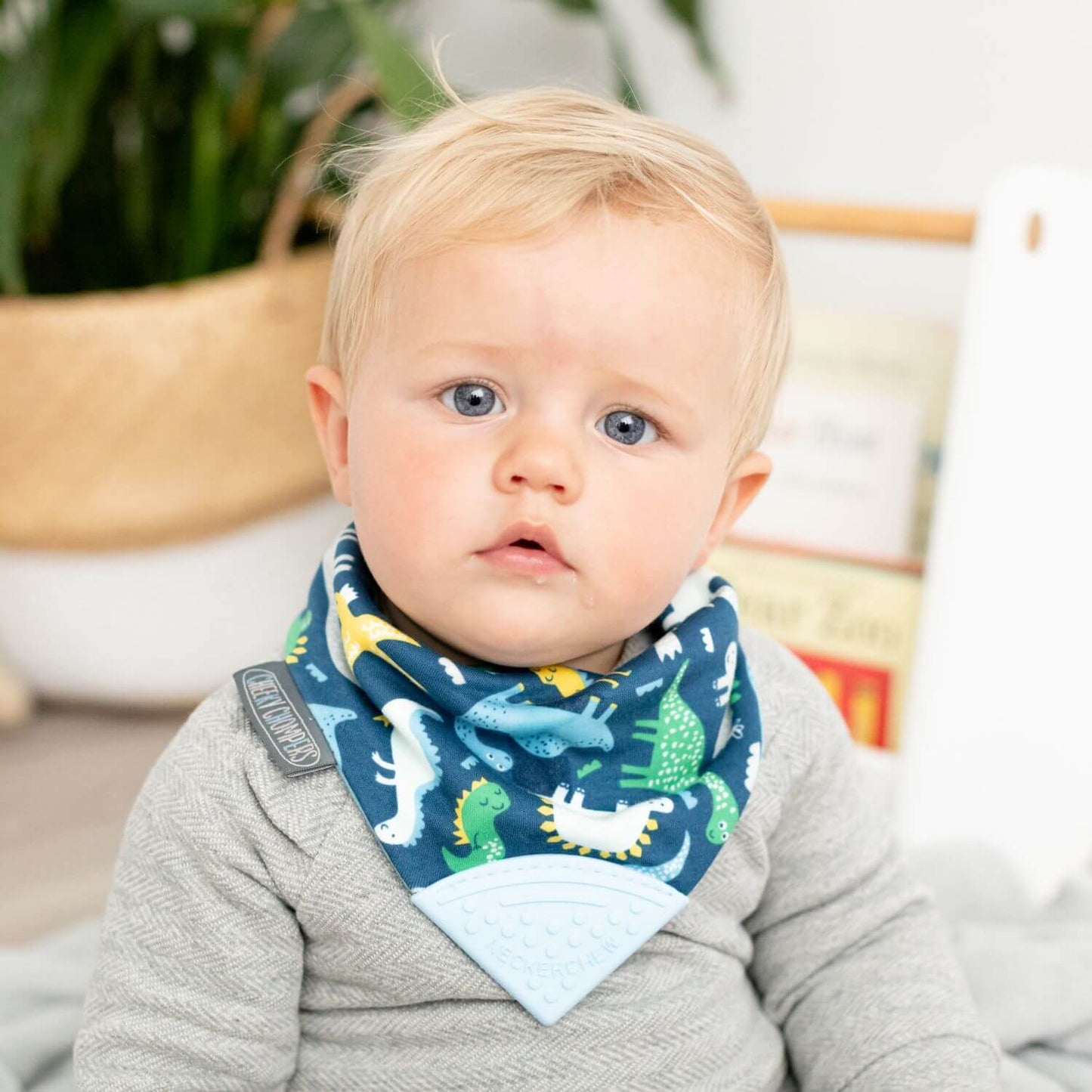 Baby Dino Neckerchew Dribble Bib