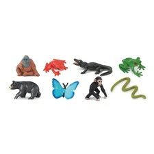 Rainforest Fun Pack