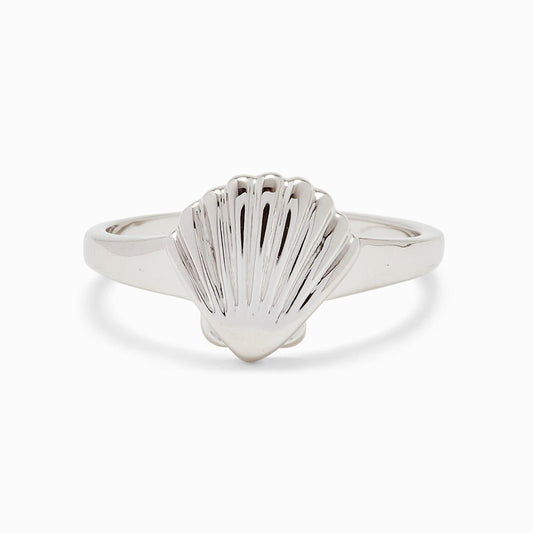 Shell Silver Signet Ring