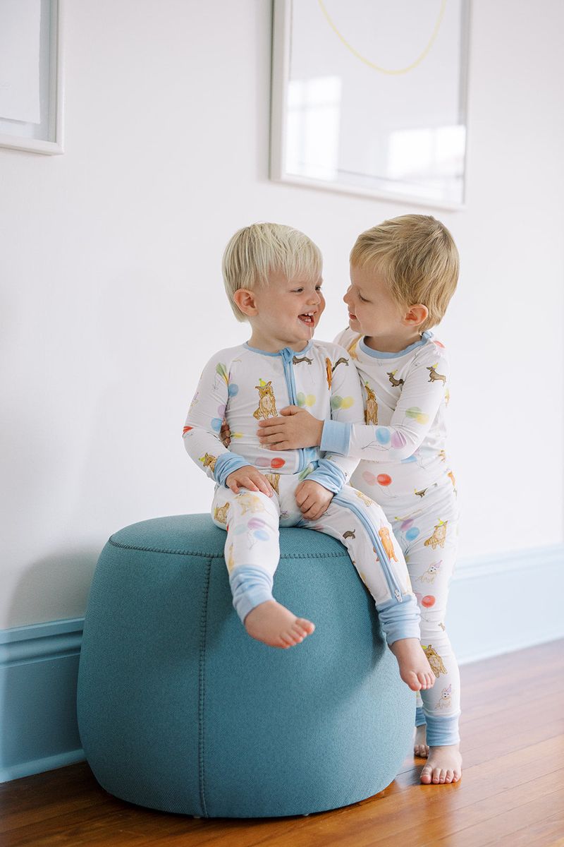 Boys Birthday Party Dogs 2 Piece Pajama