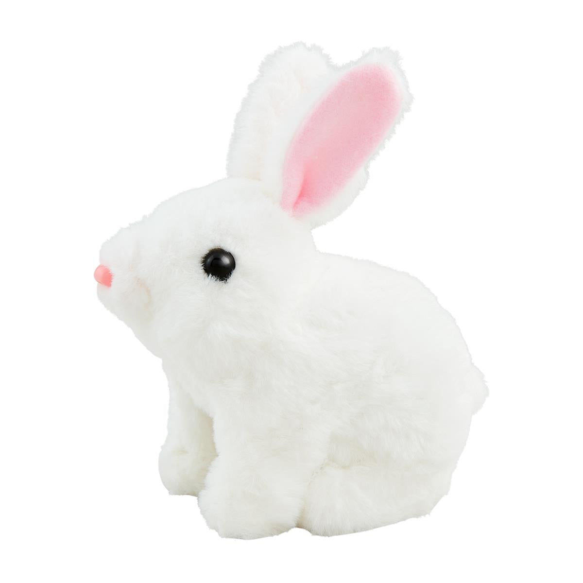 Hoppin Bunny