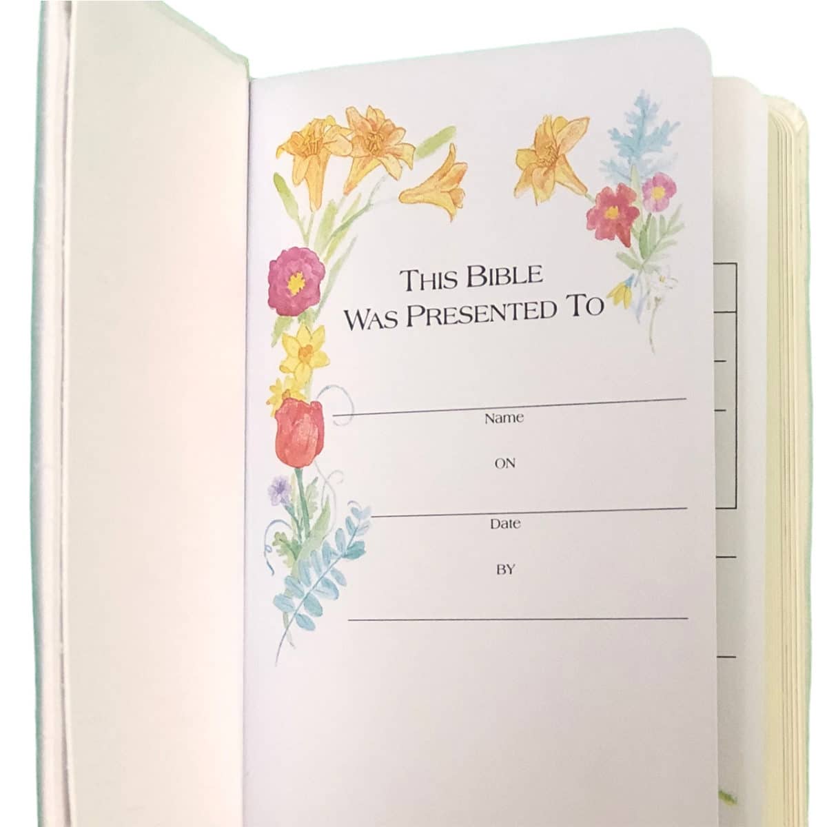 Cross Shantug Children's Bible