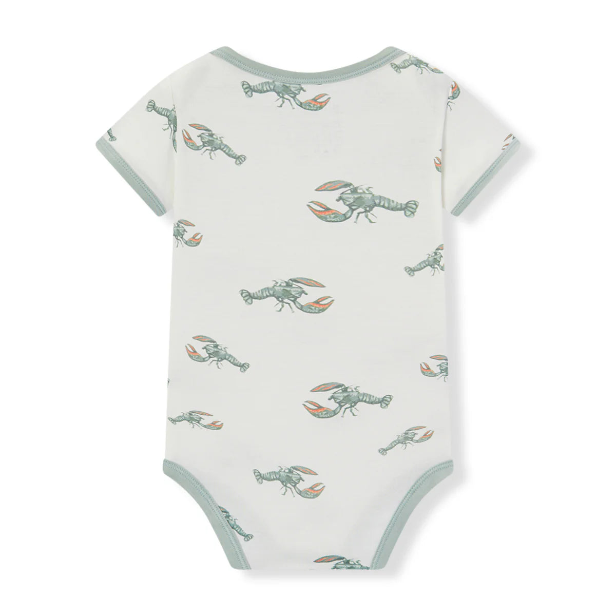 Mint Lobster Luxe 1PC