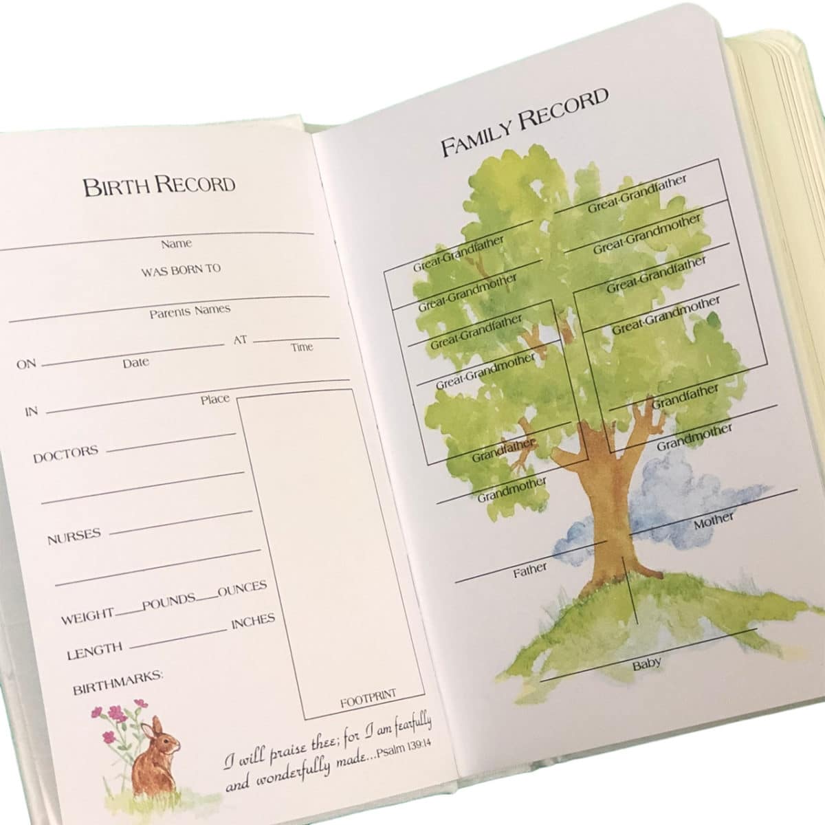 Cross Shantug Children's Bible