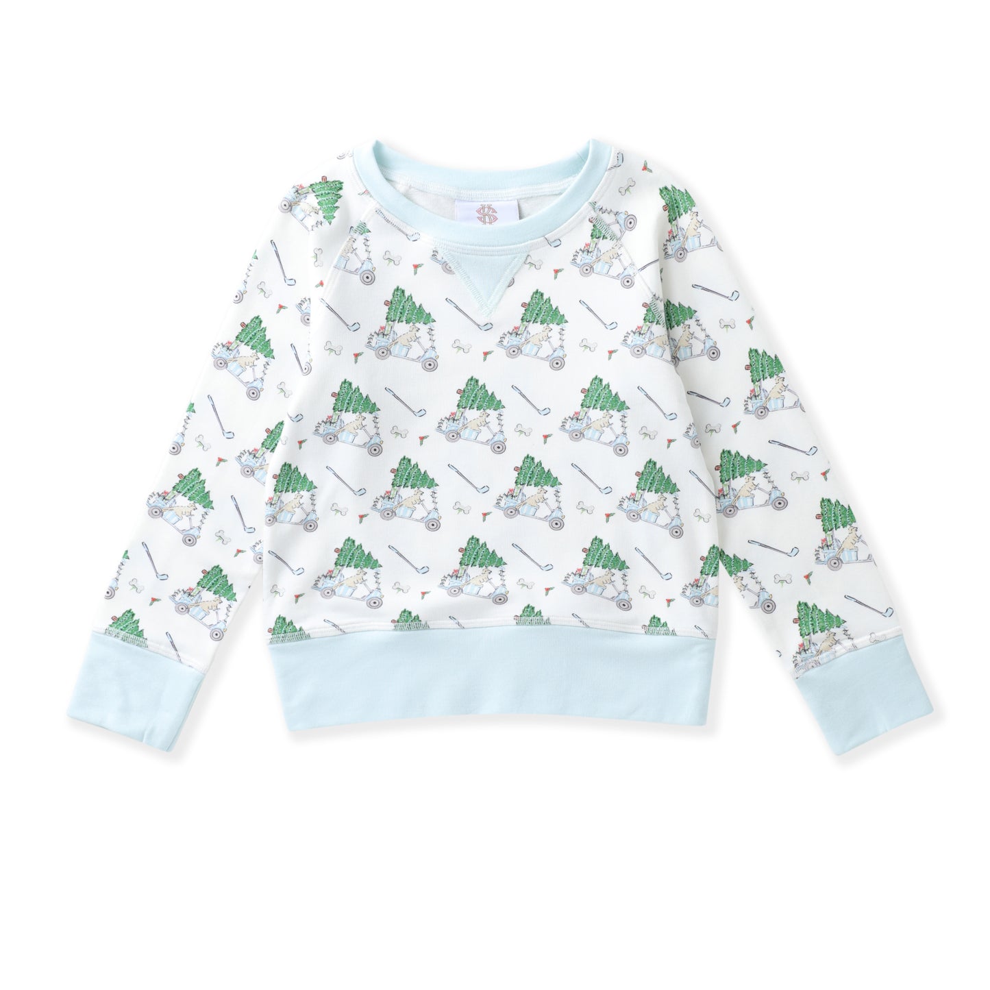 Blue Paw-Tee Christmas Pullover