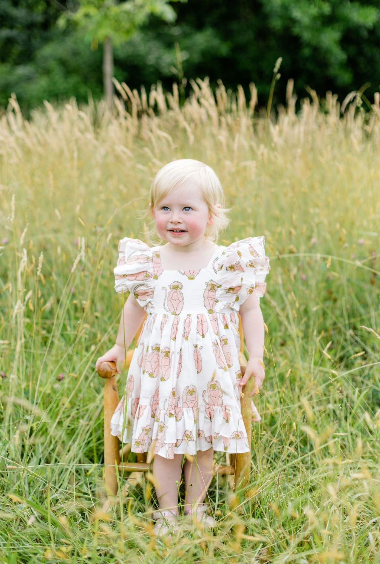 Pink Monkeys Frill Sleeve Dress