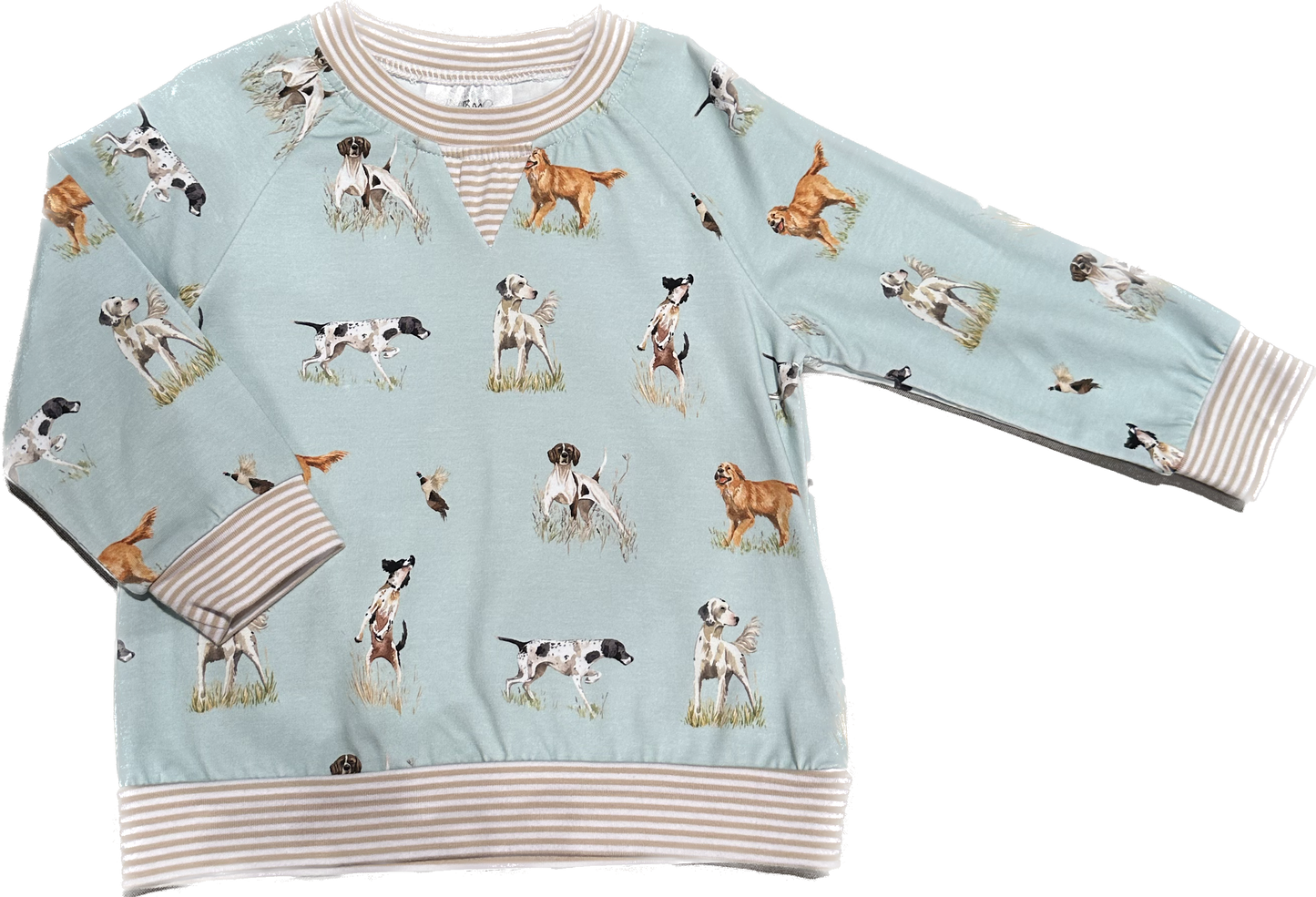 Bird Dogs of the South Pullover