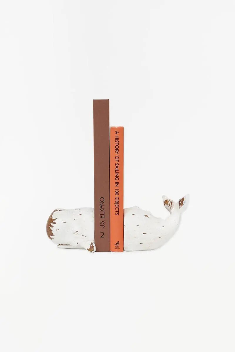 Sperm Whale Bookend