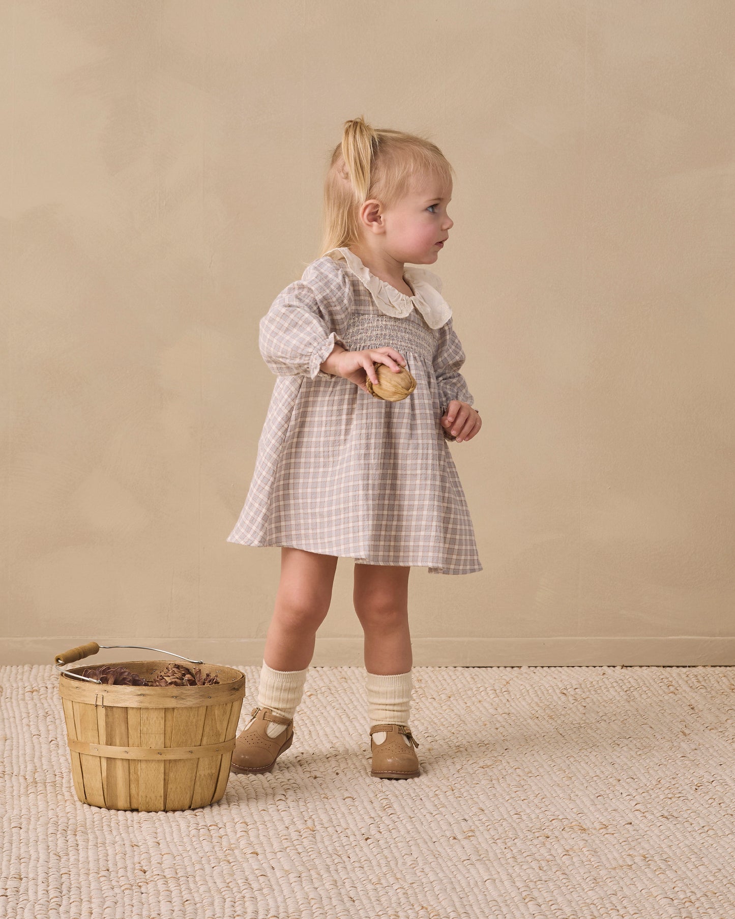 Callie Blue Gingham Dress