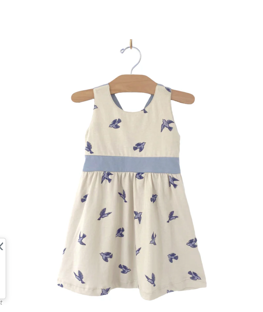 Bow Back Natural Bluebird Dress