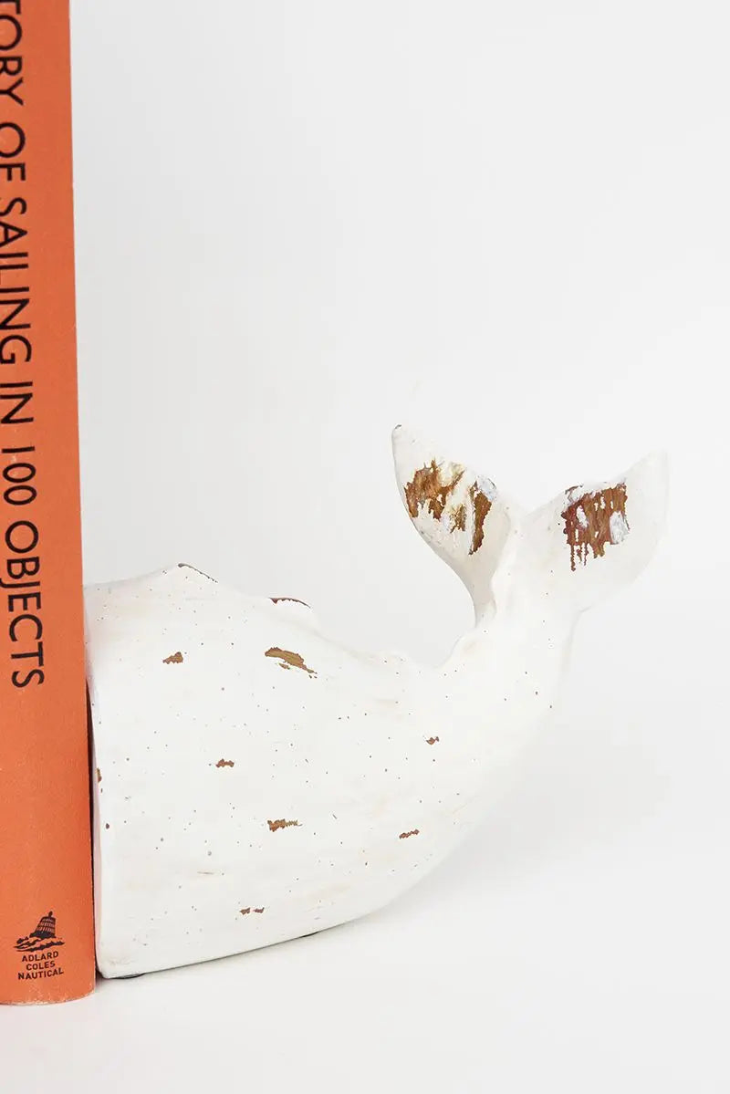 Sperm Whale Bookend