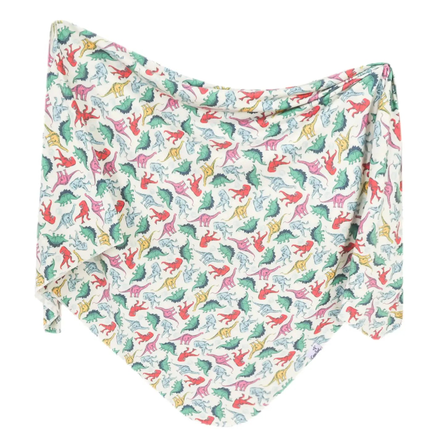Dinosaurs of Jurassic Swaddle
