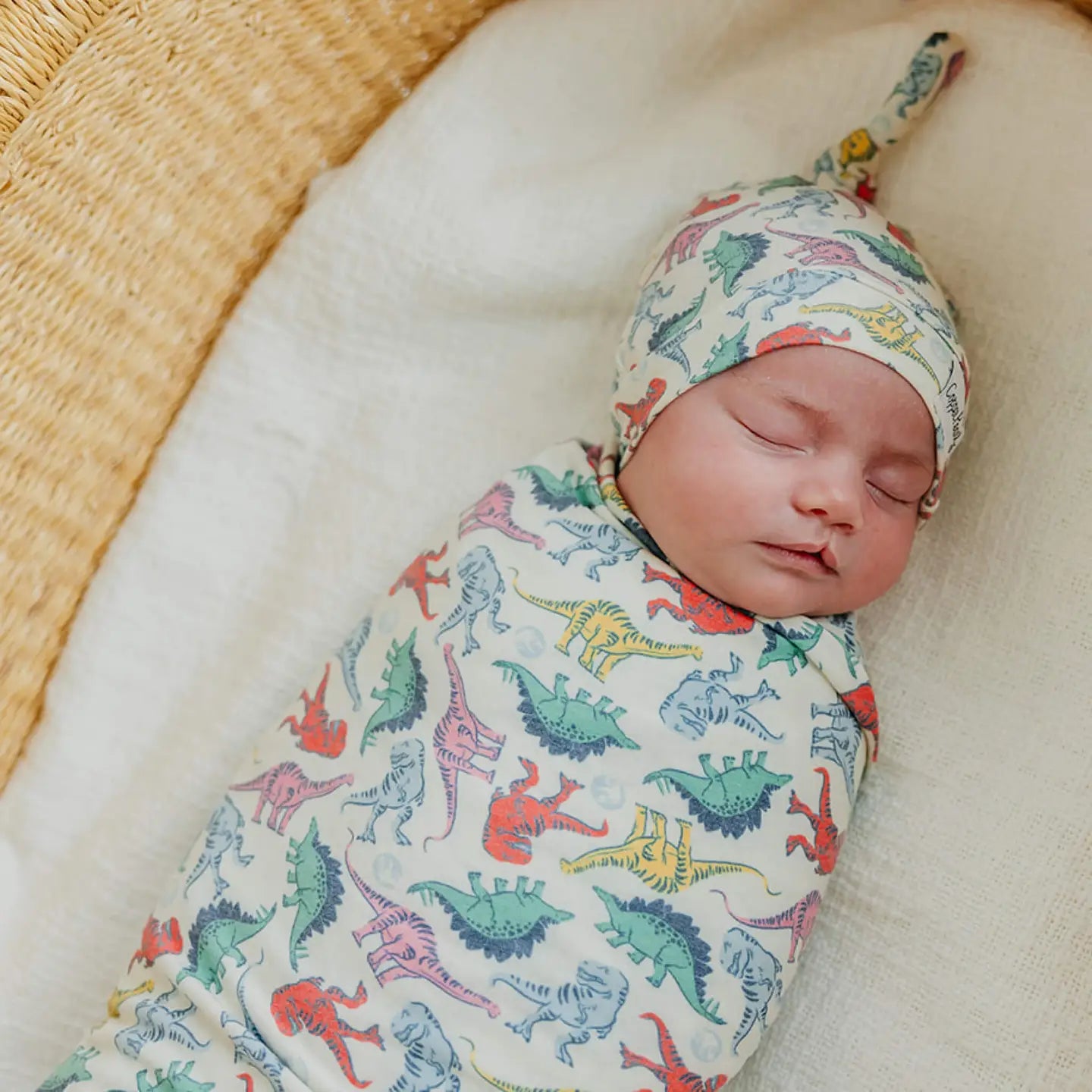Dinosaurs of Jurassic Swaddle