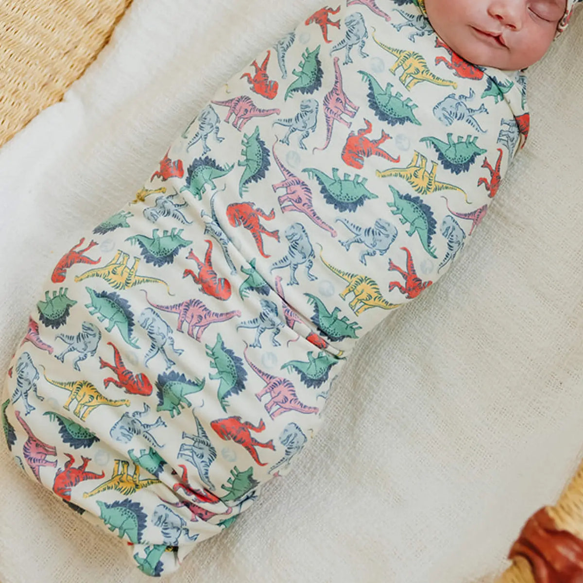 Dinosaurs of Jurassic Swaddle