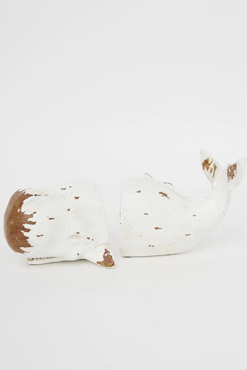 Sperm Whale Bookend