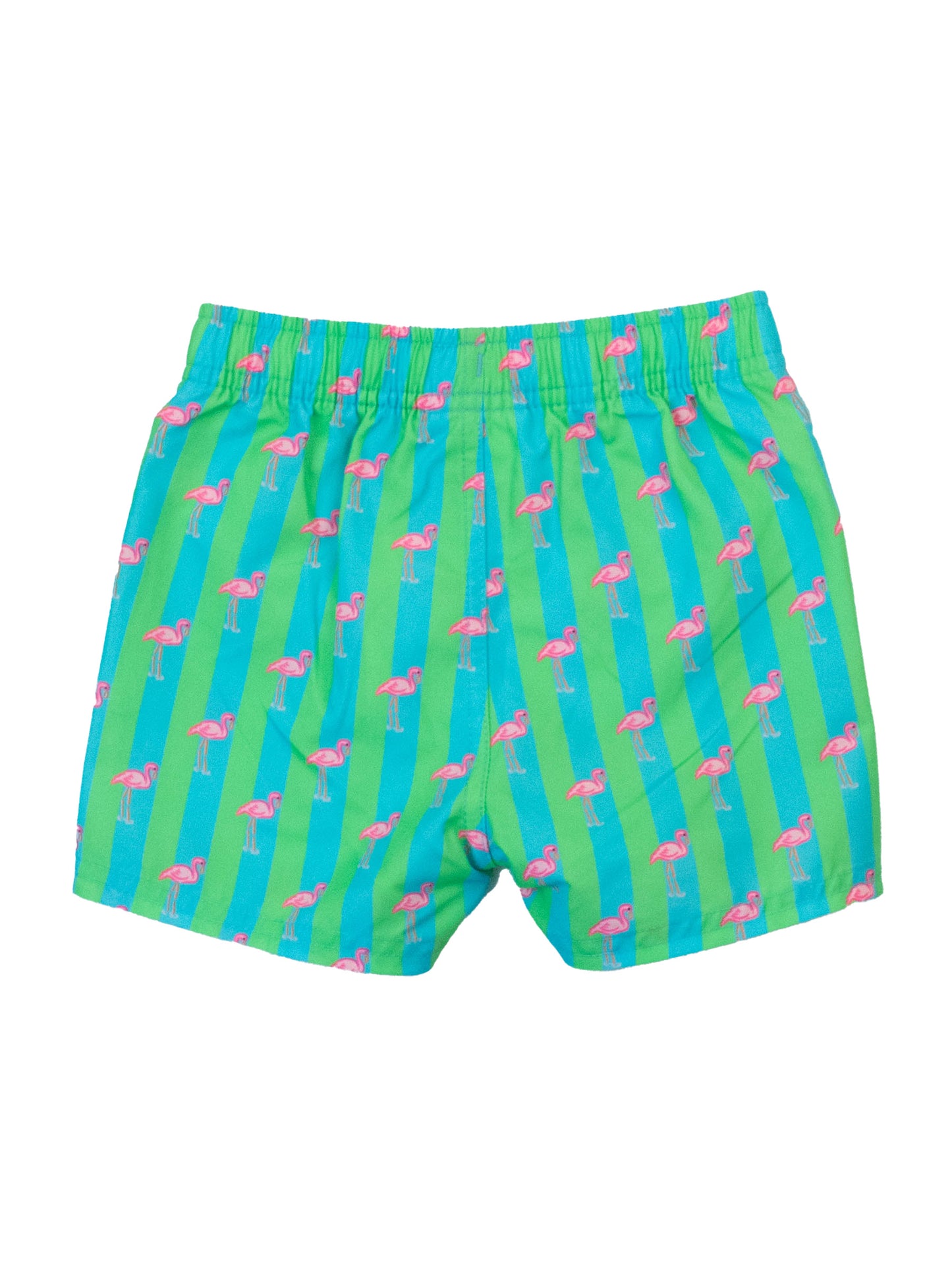 Neon Flamingo Stripe Trunks