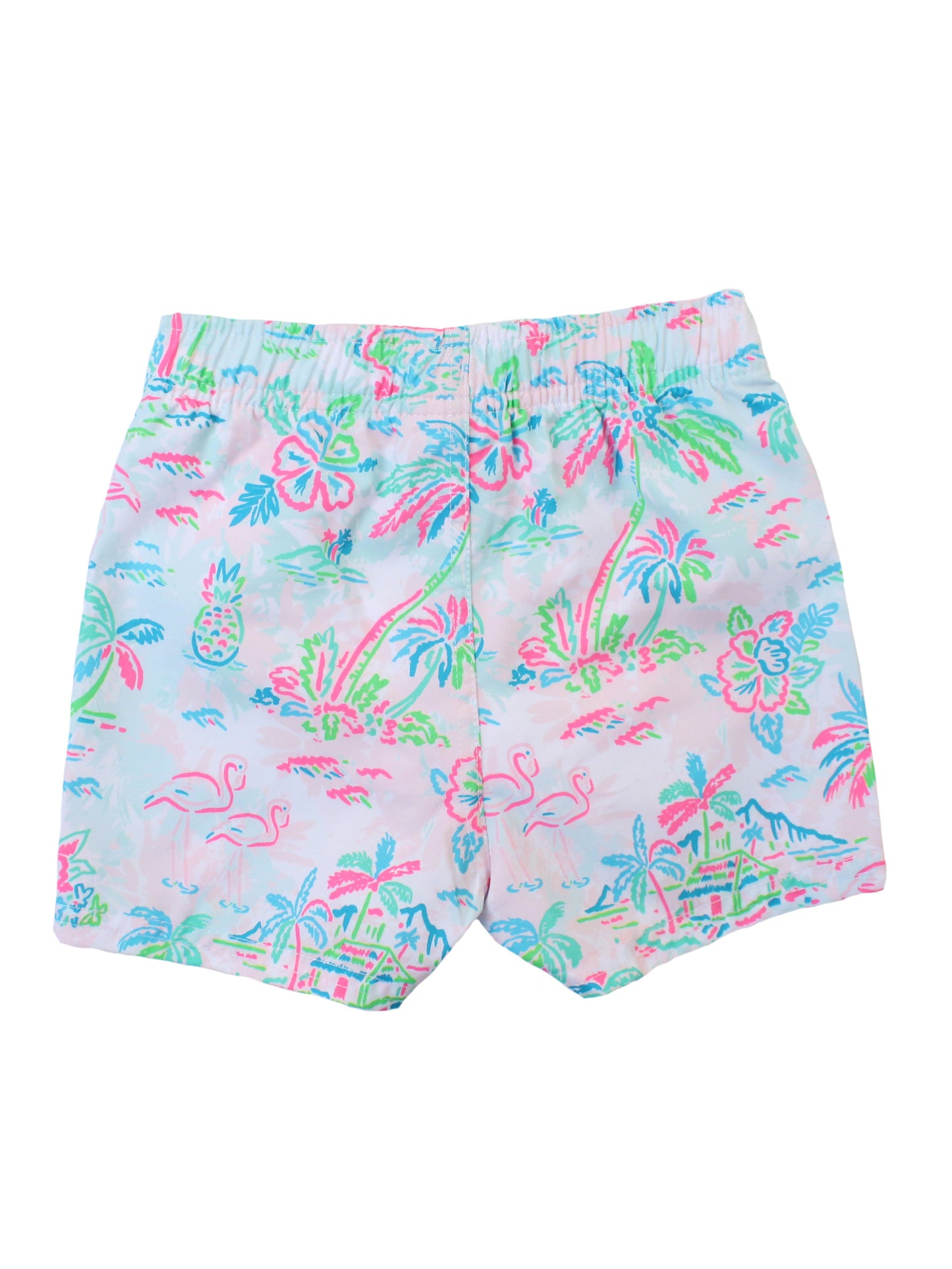 Tropical Resort Trunks