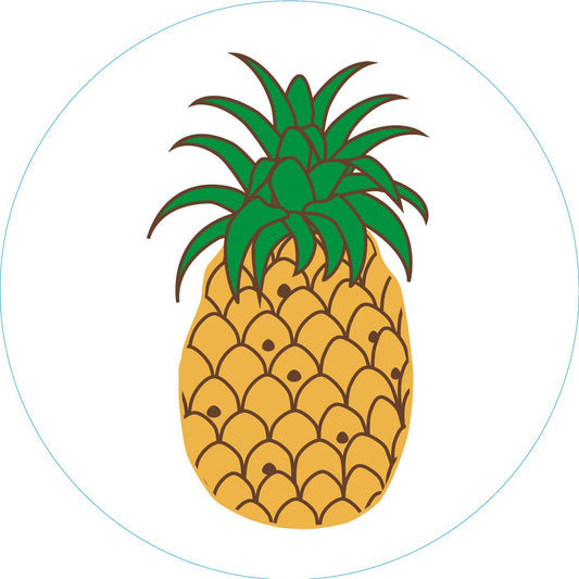 Pineapple Bogg Bit