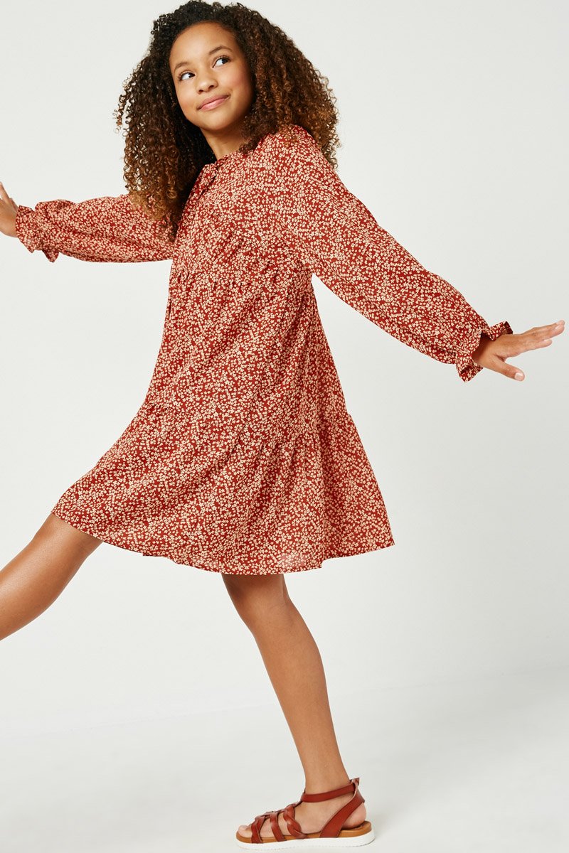 Ditsy long shop sleeve dress