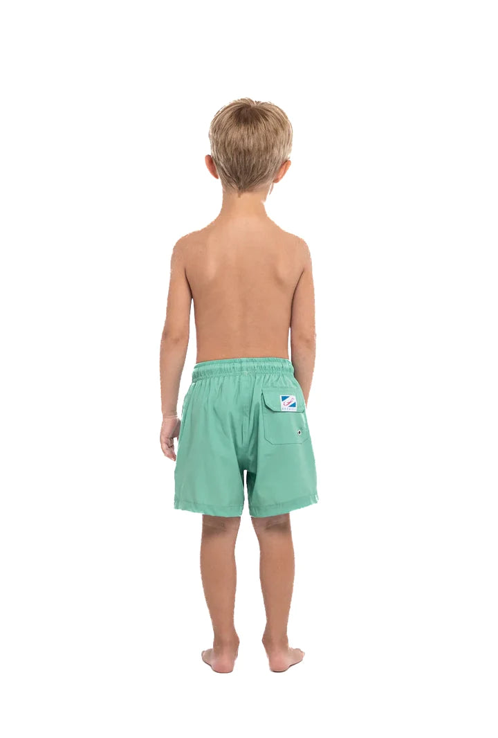 Green to Crocodile Swim Trunks