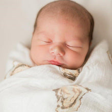 Oysters Swaddle