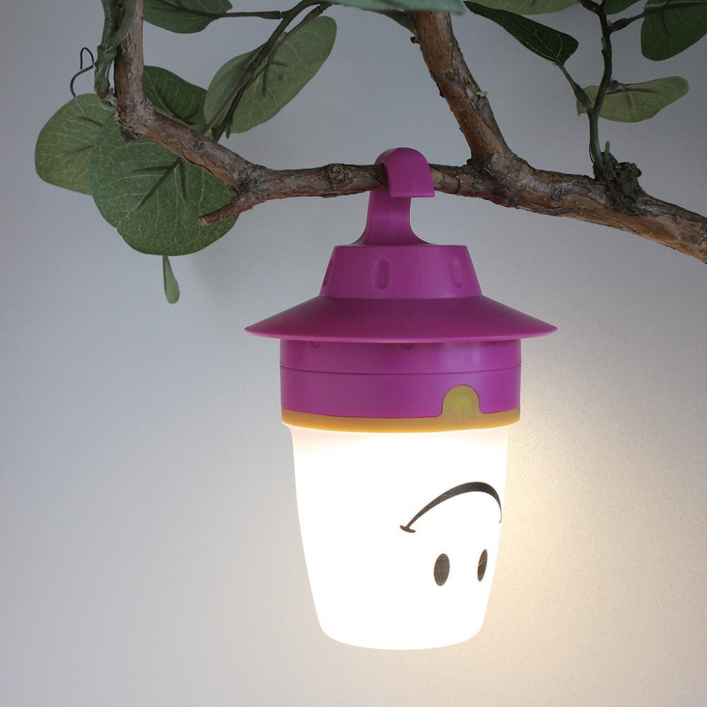 Raspberry Smile LED Lantern