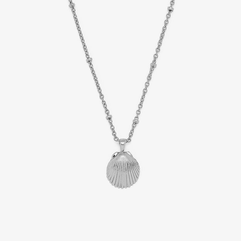 Satellite Shell Pendant Necklace Silver