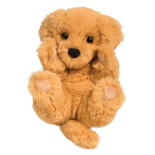 Lil Baby Golden Retriever