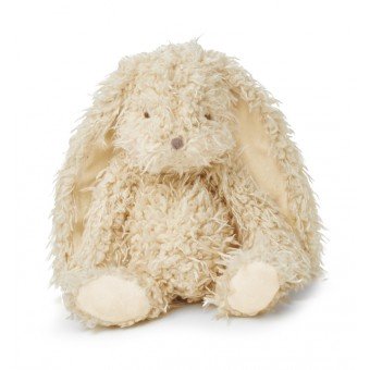 Harey The Bunny Rabbit